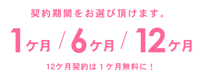 月額2,750円(税込)から